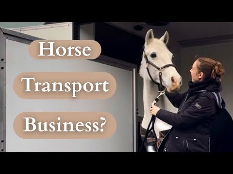 How to Set Up a Horse Transport Business: My Journey | Part 1 | Working Horsey Mum