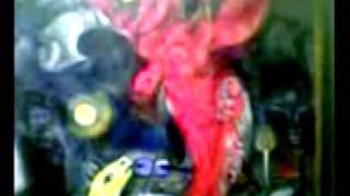 back and forward _ lamb _ feela