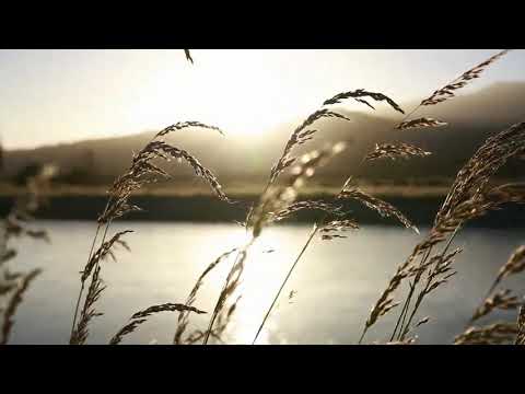 Meditation Music and Nature Sounds-Forest Stream Scene||Yandi||