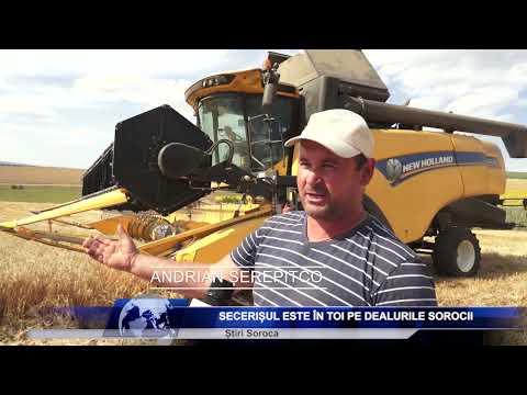 SECERIȘUL ESTE ÎN TOI PE DEALURILE SOROCII