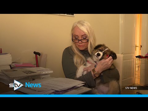 Mesh implants ‘like a hot poker getting twisted around inside you’