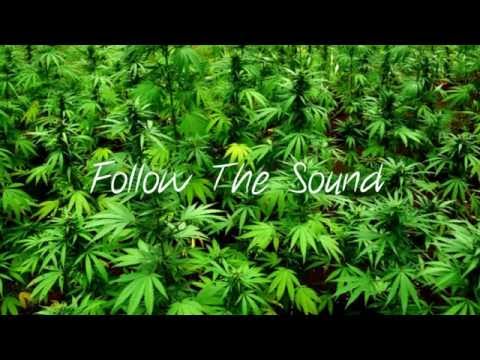 Sean Paul & Bynon - Ganja Man (Rework)