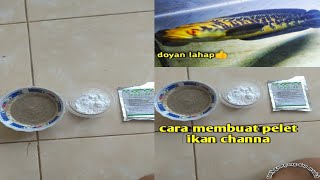 Download lagu Membuat pelet ikan channa #shorts #shortvideo #short #pelet #fyp mp3