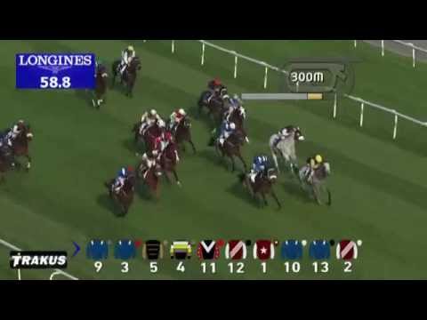 17.01.2015 Merydan (Dubai/UAE) 3.Race Meydan Sobha - Handicap 1.200 m