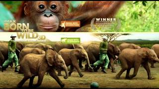 Harry Nilsson - Let The Good Times Roll (Born to be Wild Soundtrack)