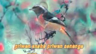 Download lagu kawin  paksa....ini damini. mp3