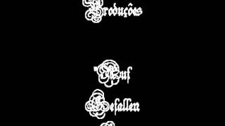 Laika e Pirata 2.wmv