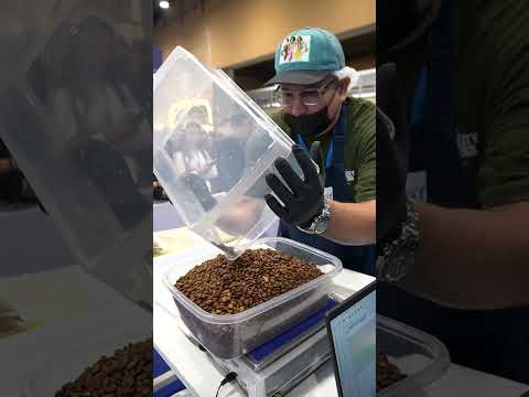 Vista previa video Cafés de Colombia Expo