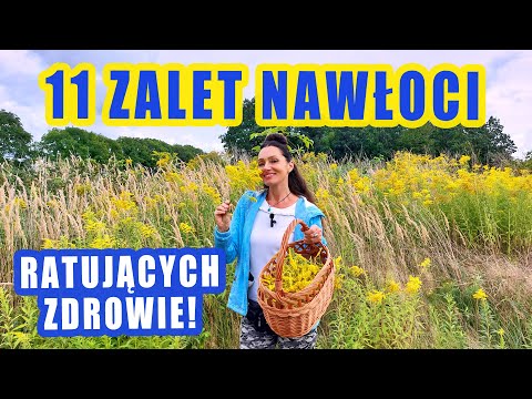 11 Potężnych walorów nawłoci ratujących zdrowie!