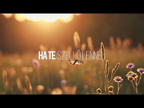 Ha te szellő lennél