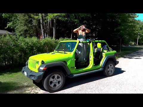 Prescilla Una-Brasil / Brasil REMIX