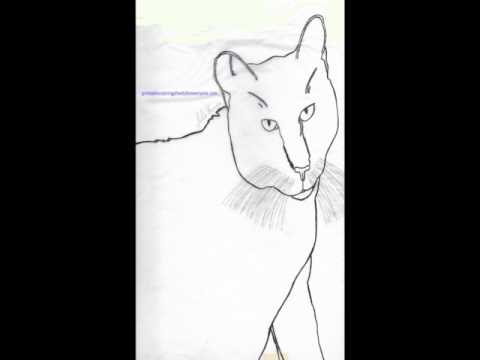 Making The Cat Coloring Sheet – Printable Coloring Sheets For Everyone