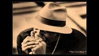 Sonny Boy Williamson  ~ I Don't Know