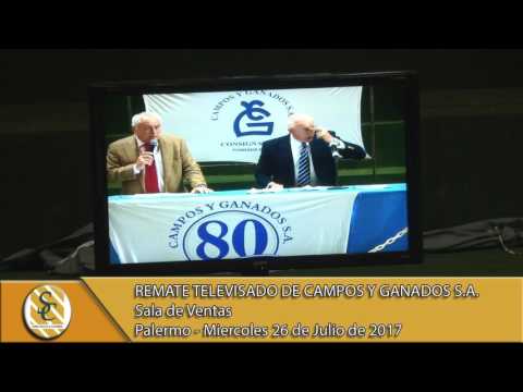 26-07-17 Venta Remate por T.V. - Campos y Ganados S.A. - Palermo.