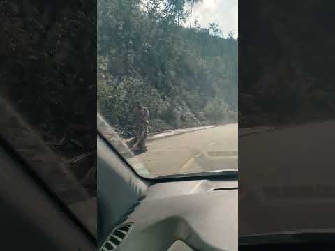 Conduciendo de baracoa a guantanamo por la farola de cuba