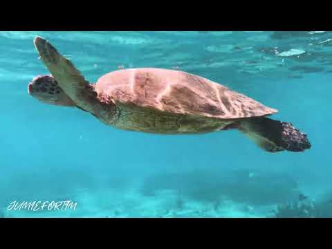 BORA BORA FRENCH POLYNESIA TRAVEL