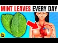 10 POWERFUL Reasons Why You Need To Have Mint Leaves Every Day