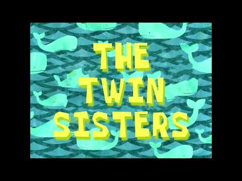 The Twin Sisters - Chelmsford Folk Band (+1 Pitch)