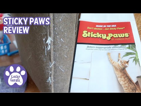Sticky Paws Cat Scratching Deterrent Review