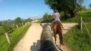 preview picture of video 'Ruta a caballo en el DOrado, Cangas de Onis Asturias 2012'