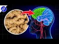 What Happens To Your Body When You Eat Ginger Everyday Ginger Benefits