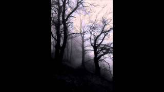 Sanctum Daemonium - Baptism In The Sea Of Blood