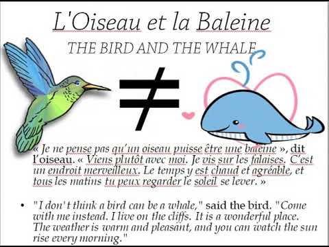 L'Oiseau et la Baleine