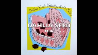 DAHLIA SEED - Milk