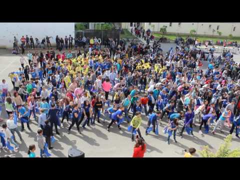 9 MAI 2017 - Flash Mob - Ziua Europei - Video 2