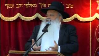 רבי פנחס ונהר גינאי | בין אדם לחברו | הרב דניאל זר