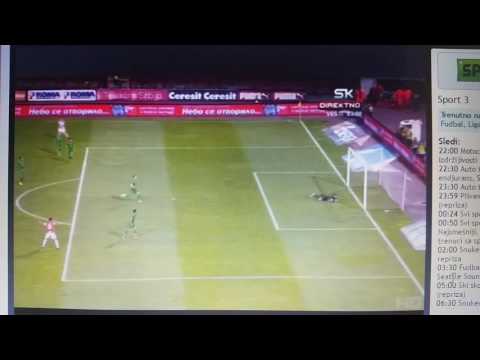 Crvena Zvezda - Ludogorec 1:0