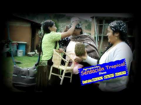 Dianas (Sensacion de Bolivia)