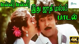 Download lagu Malli Malli Ithu Jathi Malli ||மல்லி மல்லி இது ஜாதி மல்லி || SPB Chitra || Love Duet H D Song mp3 Download lagu Malli Malli Ithu Jathi Malli ||மல்லி மல்லி இது ஜாதி மல்லி || SPB Chitra || Love Duet H D Song mp3