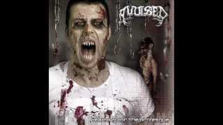 Avulsed - Morbid Chef