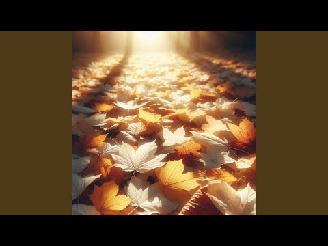 When the Sky Collapsed