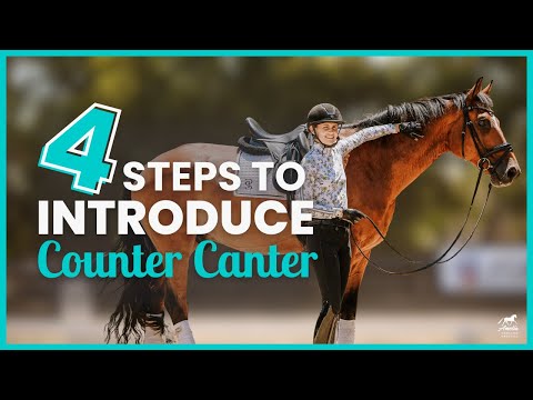 Step-by-Step: Teaching Your Horse Counter Canter