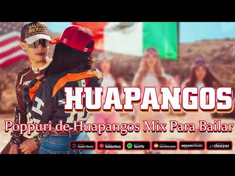 Mix de Huapangos 2025 ~ Popurri De Huapangos Chingones Mix ~ Huapangos Para Bailar 2025
