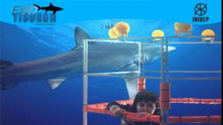 DIA 2 Expo Tiburon30