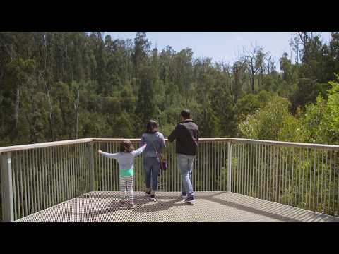 Kinglake National Park