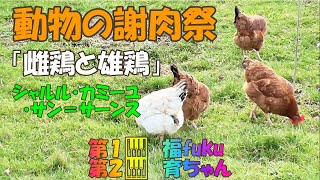 Download lagu 「動物の謝肉祭」【雌鶏と雄鶏】サン=サーンス mp3 Download lagu 「動物の謝肉祭」【雌鶏と雄鶏】サン=サーンス mp3