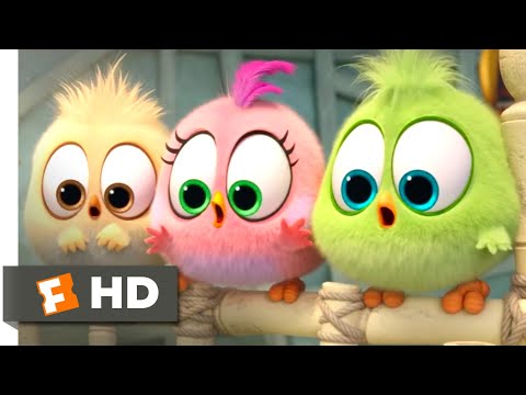 The Angry Birds Movie - Wittle Sisters Scene