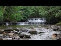 Nature Sounds Forest Waterfall-Calming Water Sound for Sleeping-Relaxing Birds Chirping Meditation