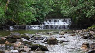 Relaxing Nature Sounds of a Soothing Waterfall with Forest Bird Song-Calm Relaxation & Sleeping