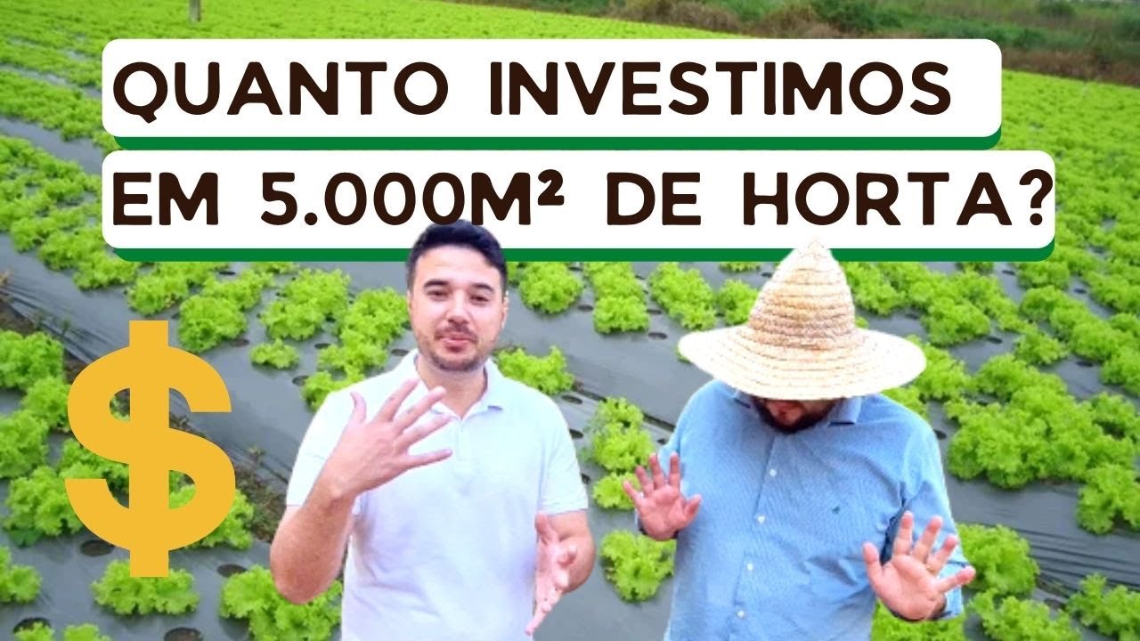 Quanto custa montar uma horta? Quanto investimos no sítio Love orgânicos? 5000 m² de horta?