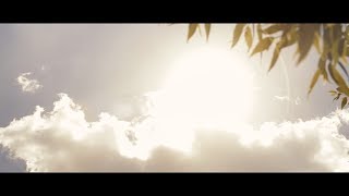 Wilde Rose Lyrics English Translation