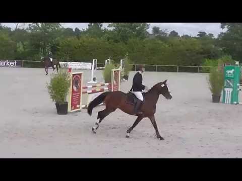 Cir Auvers juin 2016 CYMBELINE O'PLANCK 1er parcours