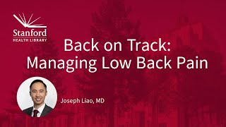 Back on Track: Managing Low Back Pain