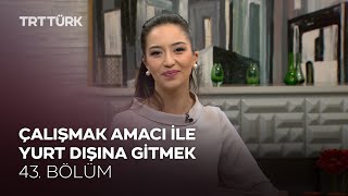 Çalışmak Amacı İle Yurt Dışına Gitmek | Rehber - 43. Bölüm