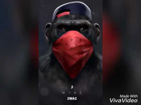 Barga brigot -monkie