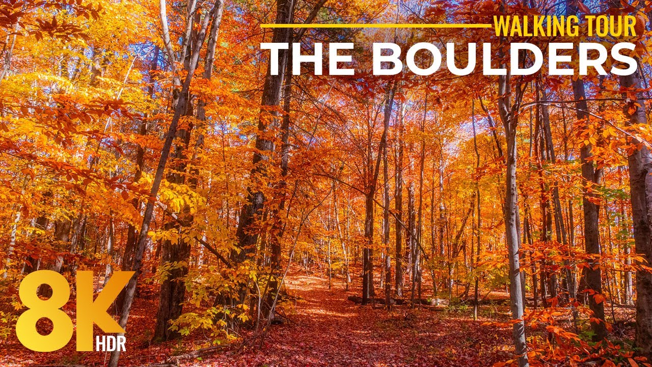 Relaxing Autumn Hike at The Boulders | 8K HDR Forest Ambience & Fall Colors of Massachusetts - Ep 1